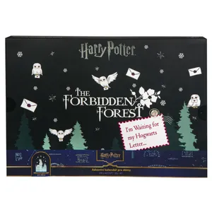 Moteriškų kojinių advento kalendorius  HARRY POTTER