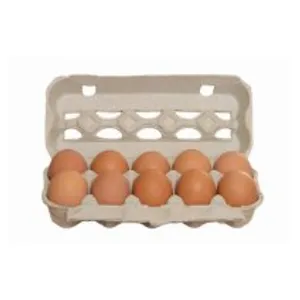 ZARASŲ PAUKŠTYNAS ant kraiko vištų kiaušiniai S dydžio 10 vnt