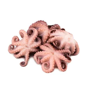 Tinkliniai aštuonkojai 20/40, atšildyti