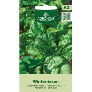 Sėklos AGRONOM ŠPINATAI DARŽINIAI WINTERRIESEN