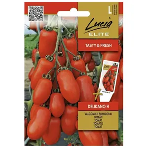 Sėklos LUCIA ELITE POMIDORAI VALGOMIEJI DELIKANO H/CORVETA H