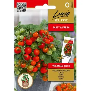 Sėklos LUCIA ELITE POMIDORAI VALGOMIEJI VERANDA RED H/CORVETA H