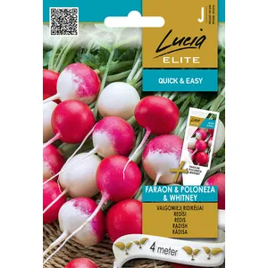 Sėklos LUCIA ELITE RIDIKĖLIAI VALGOMIEJI FARAON POLONEZ/CORVETA H