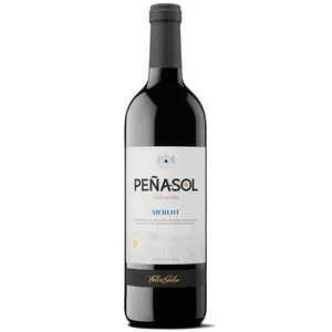 Raudonasis sausas vynas PENASOL MERLOT (12,5%), 1 l