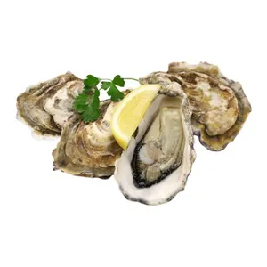 Didžiosios viduržemio jūros austrės vakuume, 360 g