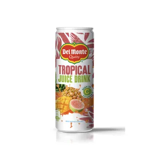 Tropinių vaisių sulčių gėrimas Del Monte 240ml