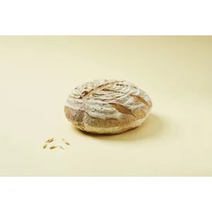Raugo duona SOURDOUGH