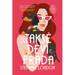 Knyga IR TAKSĖ DĖVI PRADA