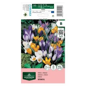 KROKAI BIG FLOWER MIXED 172075