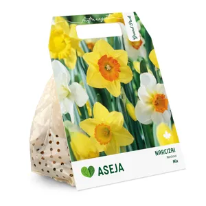 ASĖJA NARCIZŲ MIX SVOGŪNĖLIAI