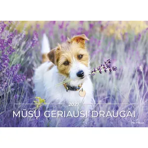 Kalendorius 2027 MŪSŲ GERIAUSI DRAUGAI
