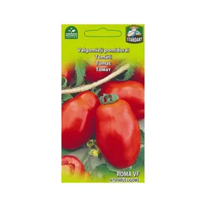 Sėklos POMIDORAI PAILGI