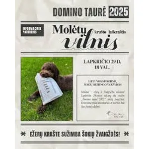 Laikraštis VILNIS