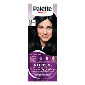 Plaukų dažai PALETTE