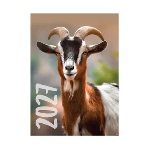 Kalendorius 2027 VISIEMS