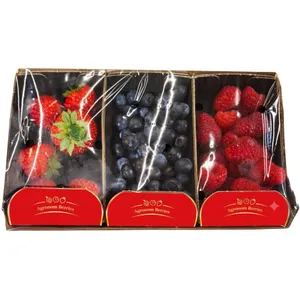 Uogų rinkinys, 300 g