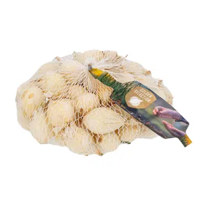 Baltųjų svogūnų sodinukai, 450 g