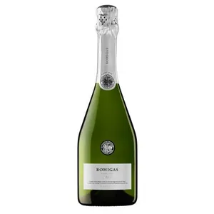 Putojantis vynas, FERMI BOHIGAS, Cava semi-sec,  Reserva, 12 %, 0,75 l