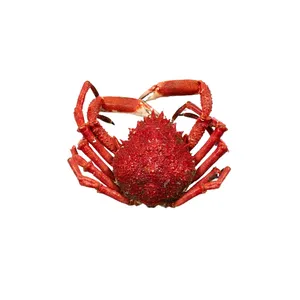 Šaldyti, virti, paprastieji vorkrabiai 600-800g.