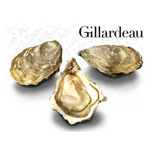Austrės ADRI & ZOON Gillardeau 2, vnt.