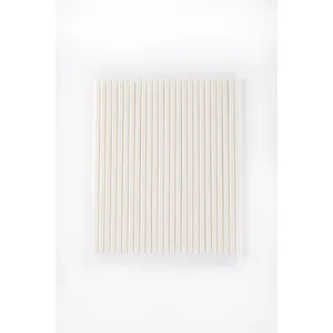 Popieriniai šiaudeliai, balti, D 6 mm, L 20 cm, 250 vnt