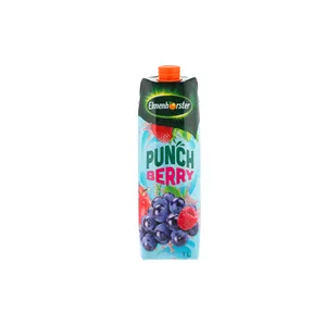 Sulčių gėrimas ELMENHORSTER, Berry Punch, 1 l