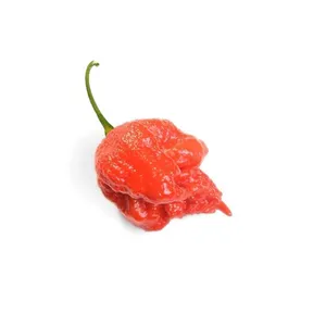 Aitrusis pipiras CAROLINA, 50 g