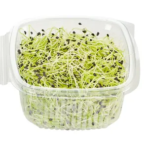 Porų daigai, 50 g
