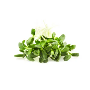 Saulėgrąžų ūgliai,100 g