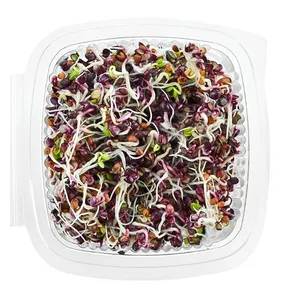Ridikėlių (Red) daigai, 50 g
