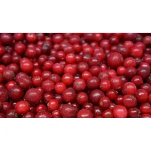 Šaldyti raudonieji serbentai,  IQF, 1 kg