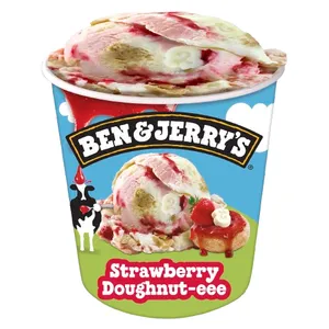 Ledai BEN&JERRY, braškių spurgos skonio, 465 ml