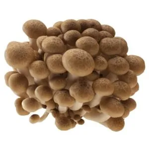 Rudieji SHIMEJI grybai, 150 g