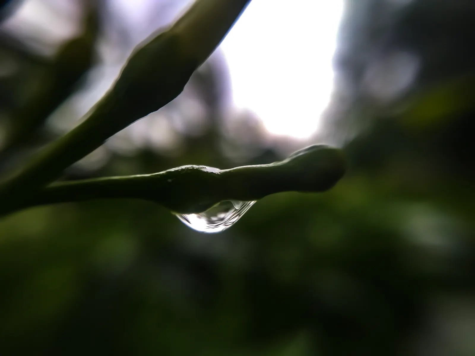 Sesja noworodkowa — pierwsze chwile