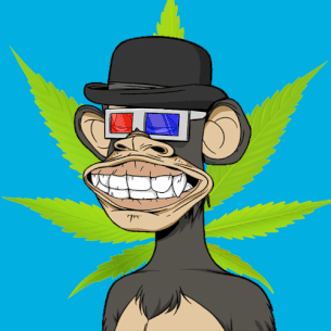 Collection cover image