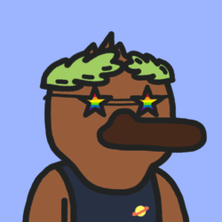 Collection cover image