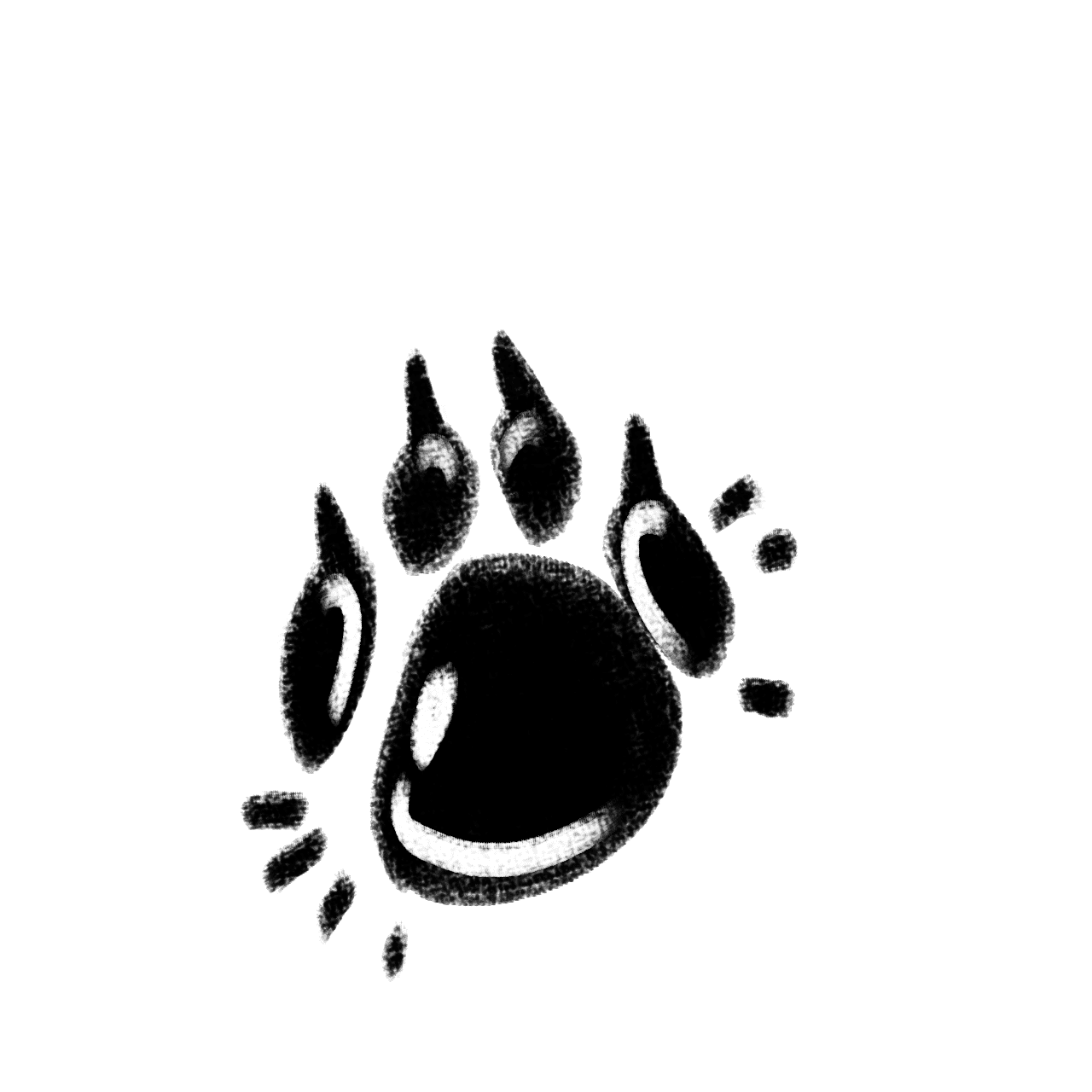 Collection cover image