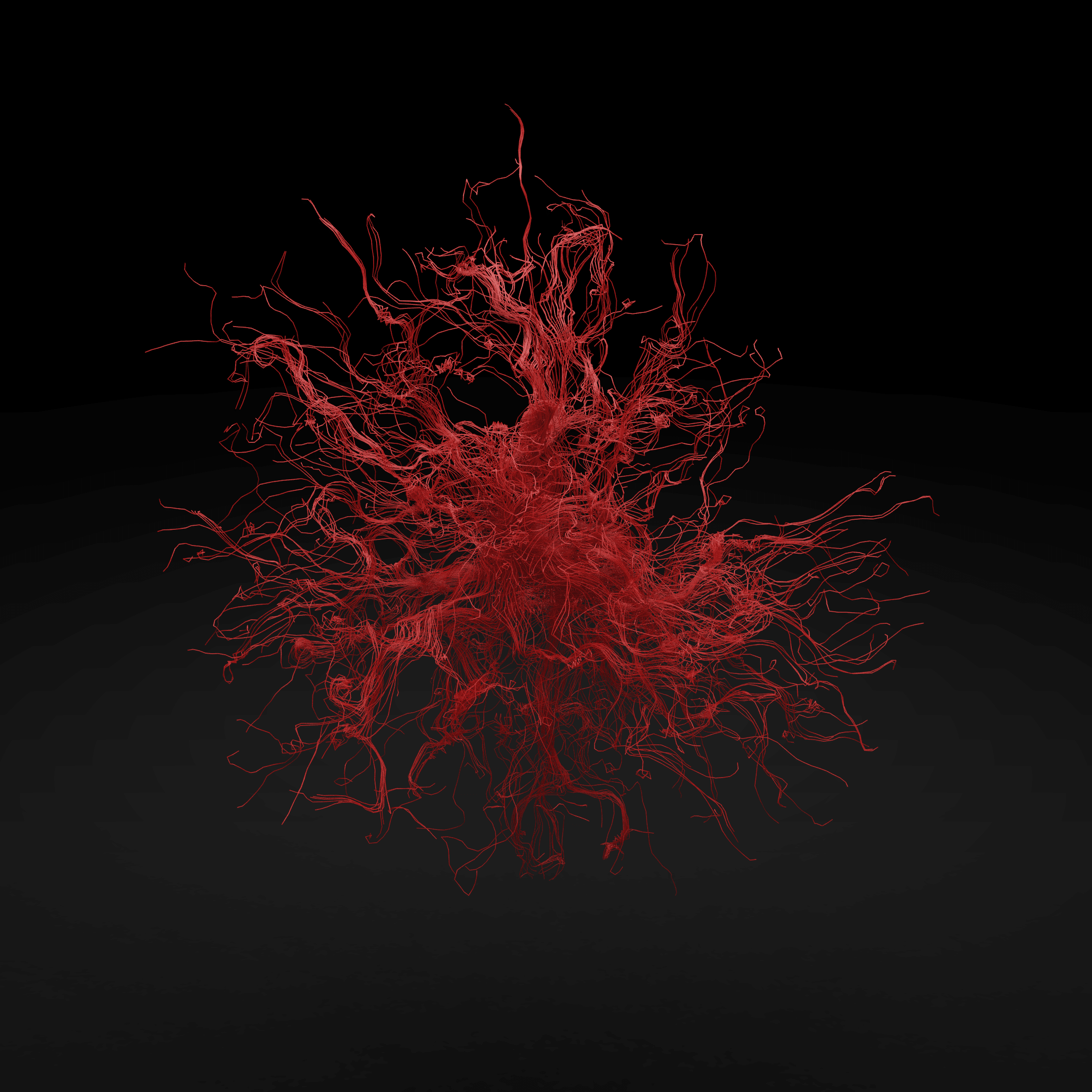 Collection cover image
