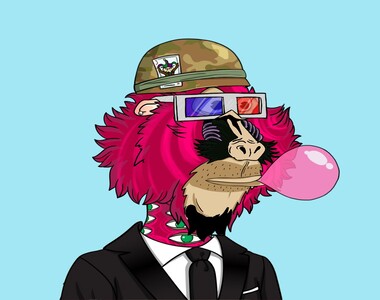 Collection cover image