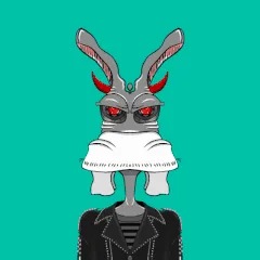 Collection cover image