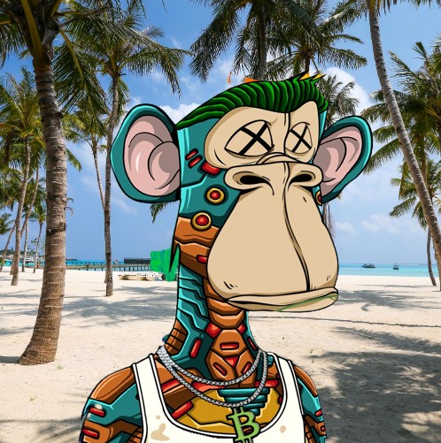 Collection cover image