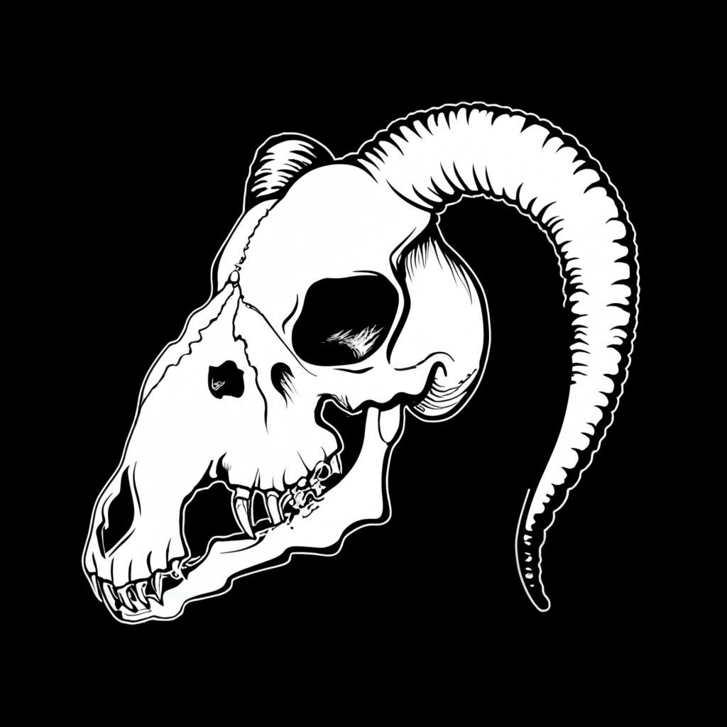 Collection cover image