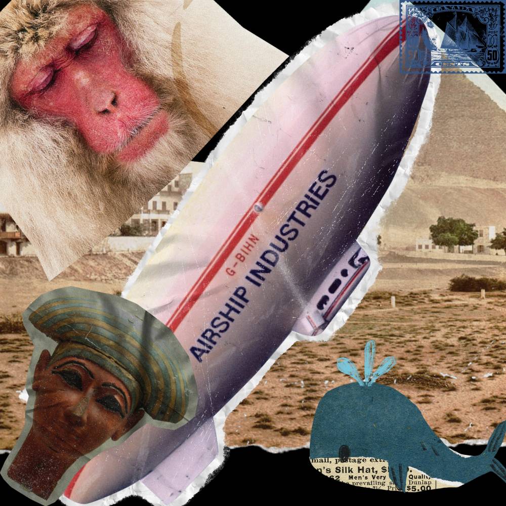 Collection cover image