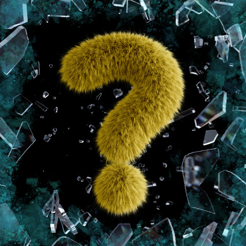 Collection cover image