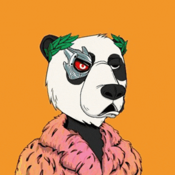 Collection cover image