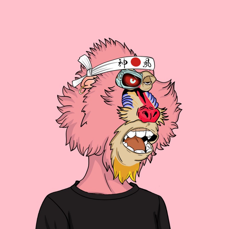 Collection cover image