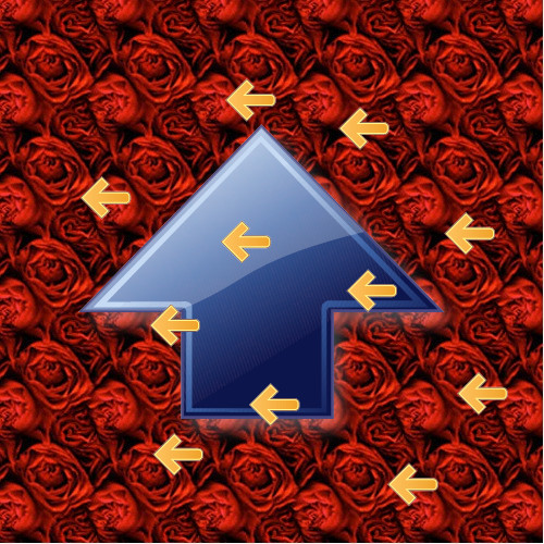 Collection cover image