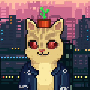 Collection cover image