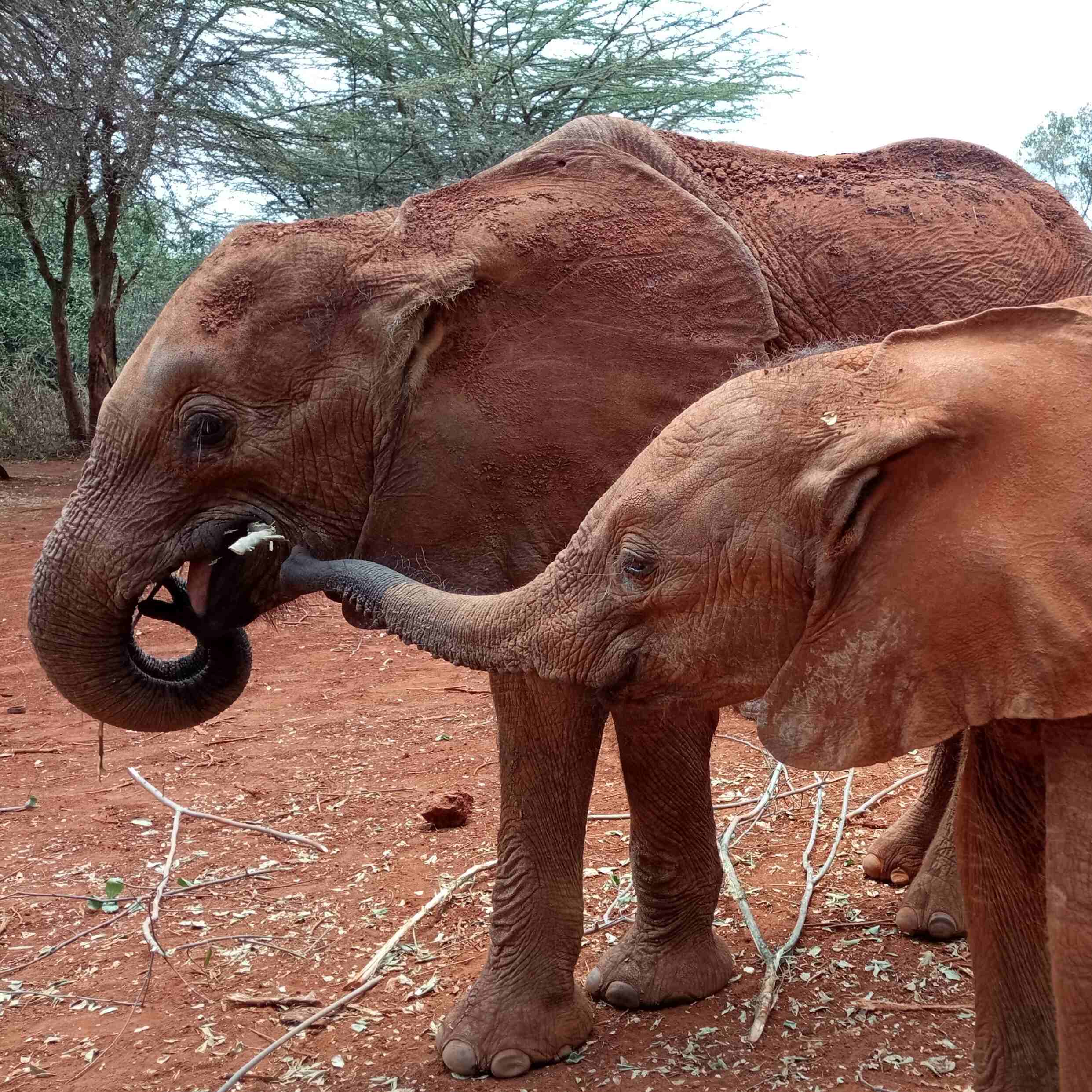 Collection cover image