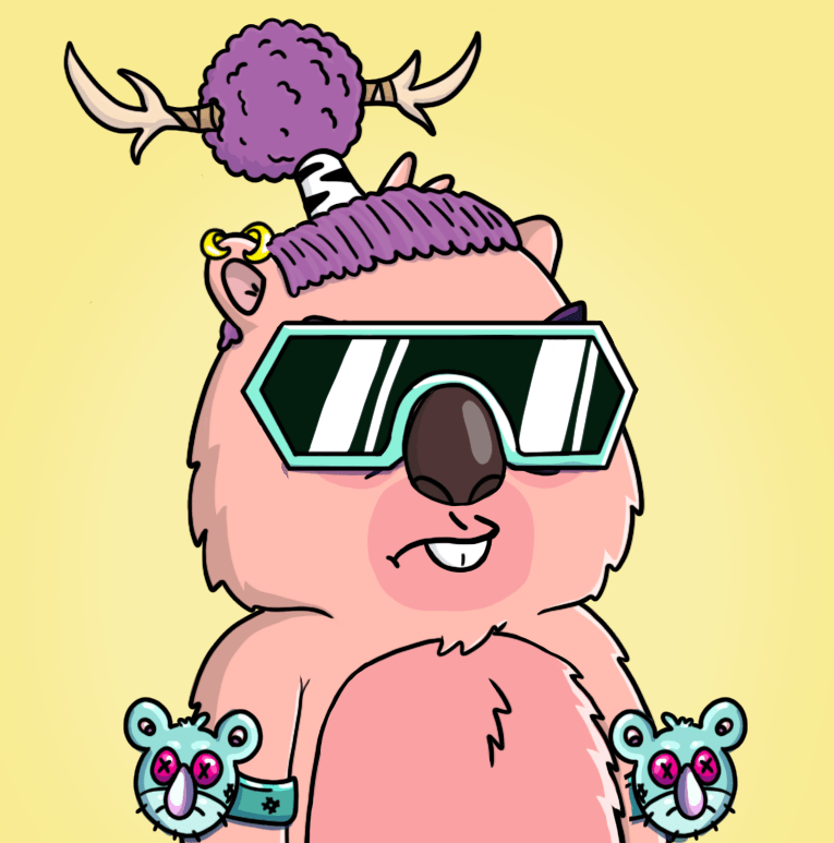 Collection cover image